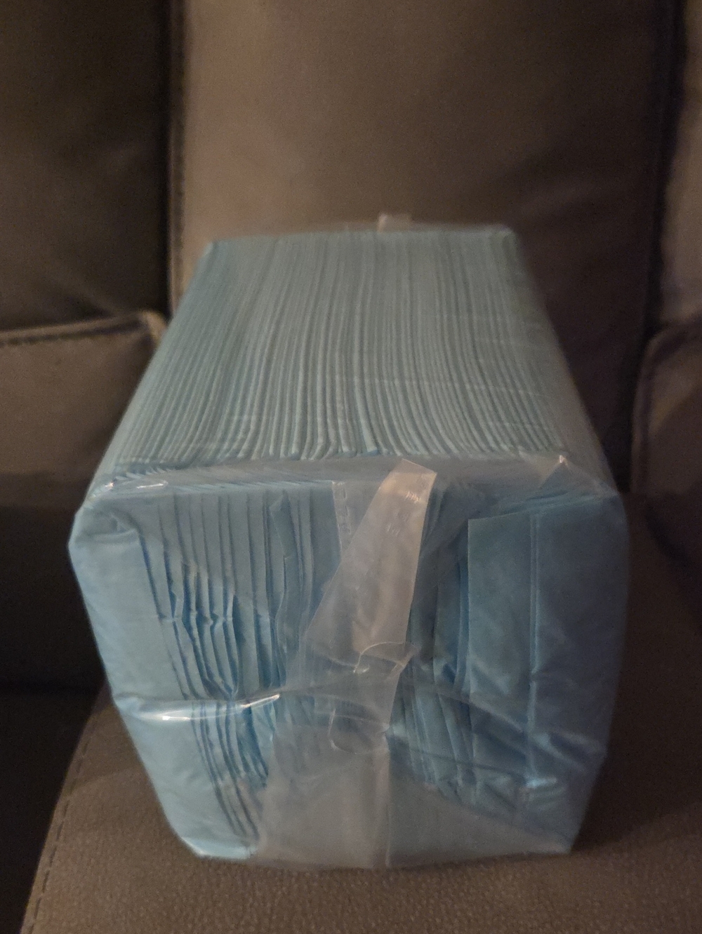Pack Of 50 22 X 22 Puppy PADS Light Blue Disposable Pads